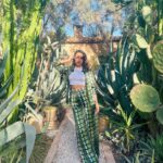 Sarah Perles Instagram – 🌵