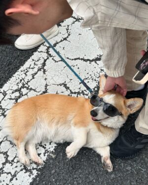 Sarunchana Apisamaimongkol Instagram - random dump from japan trip