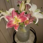 Saumya Tandon Instagram - This is how I heal. Days this week. Thanks for the messages, flowers, calls, prayers and all the love you sent me. Thanks being there in my world.