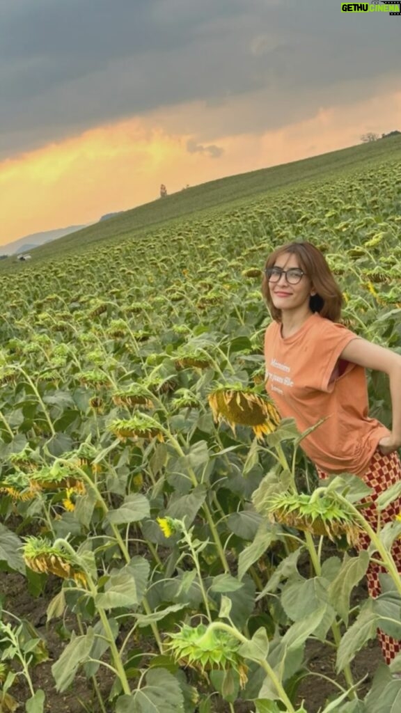 Savika Chaiyadej Instagram - I’m too misty, and too much in love 🌻❤️ #misty #sunflowers #happy