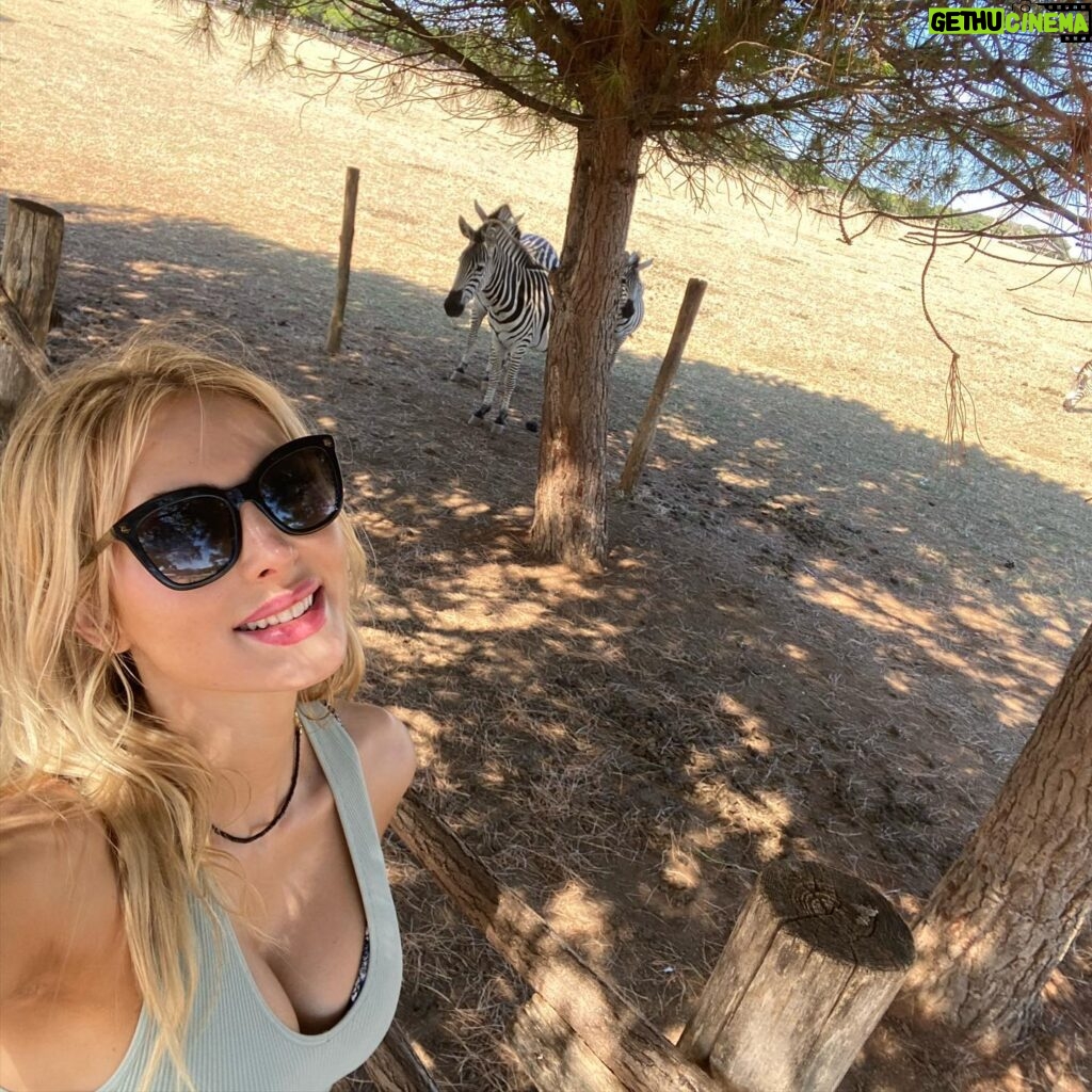 Saxon Sharbino Instagram - at a zoo on an island in Croatia, hbu? also my bf met all my travel friends 💕