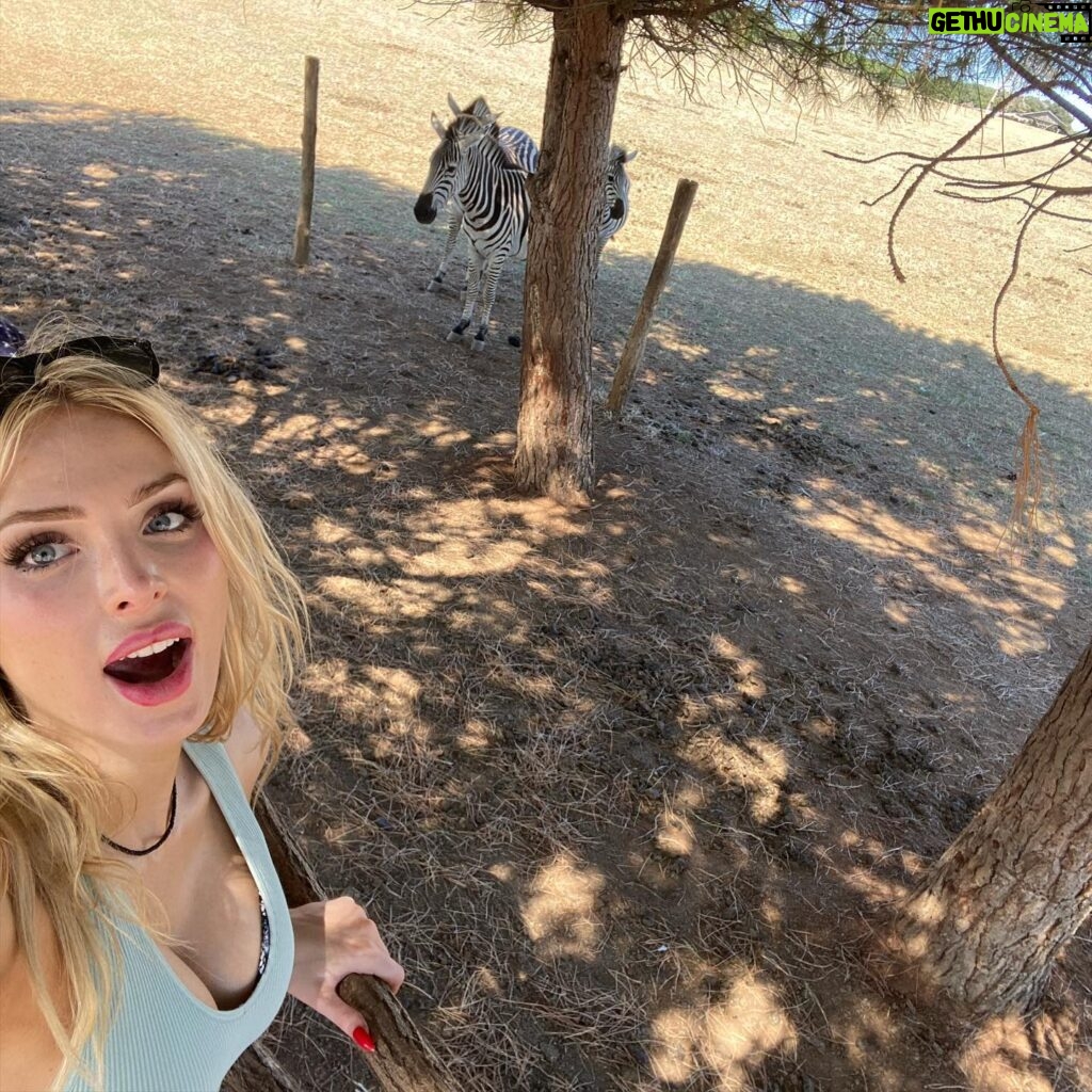 Saxon Sharbino Instagram - at a zoo on an island in Croatia, hbu? also my bf met all my travel friends 💕