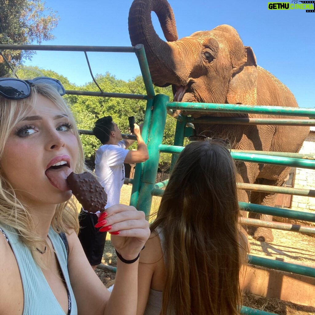 Saxon Sharbino Instagram - at a zoo on an island in Croatia, hbu? also my bf met all my travel friends 💕