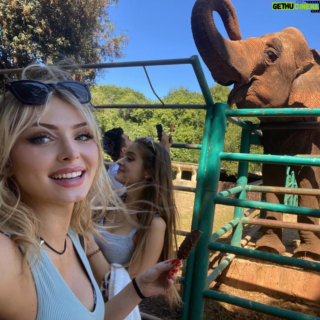 Saxon Sharbino Instagram - at a zoo on an island in Croatia, hbu? also my bf met all my travel friends 💕