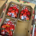 Sayuri Matsumura Instagram - 🍎 最近の記録