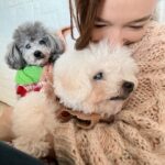 Selena Lee Instagram - I’m so lucky to have Snowy and Naughty bless my life with so much love, joy, and happiness. Never easy to say Goodbye, see you in the next life, my lovely angels. Miss you both. Thank you for being in my life. 下一世，一定要做我親人。❤️ 感恩在我生命中遇上你們。 #RIP #Angels