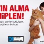 Selma Ergeç Instagram - Karne hediyesi ya da sevgililer günü hediyesi... Hiçbir bahane ile hayvan satın alma! Hayvanlar hediyelik eşya değildir! Unutma, dostunu satın alamazsın. Satın alma, sahiplen ! 🐾 @ihtiyacharitasiofficial ın #satınalmasahiplen kampanyamıza özel geliştirdiği sahiplenme ve sahiplendirme platformumuzu ziyaret edin 👉 ihtiyacharitasi.org @banagozkulakol