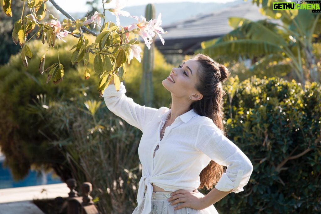 Sevda Erginci Instagram - 26 yaşım, ipek ve canım ipek ağacı. Hoşgeldiniz 🌿