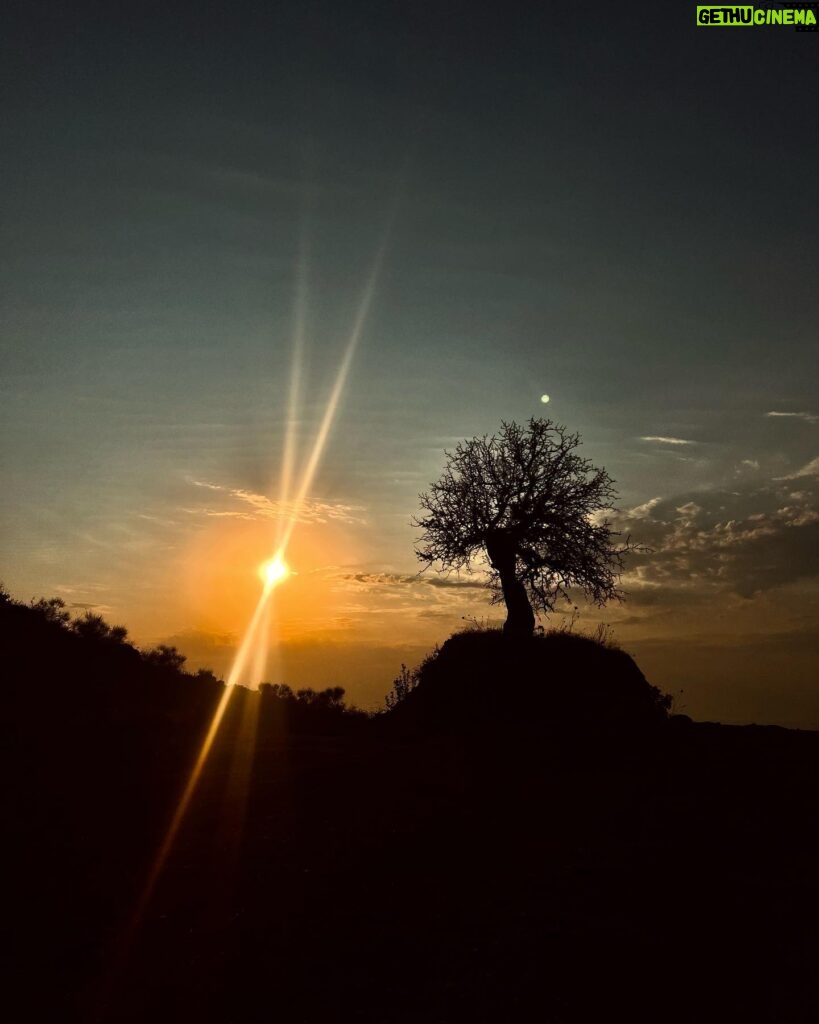 Sevda Erginci Instagram - bu dünya benim memleket