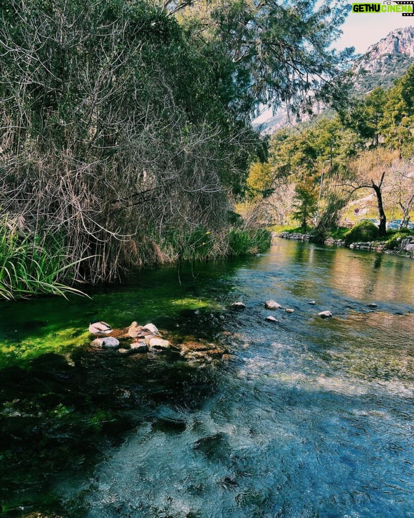 Sevda Erginci Instagram - egeme saygımla geldim🦆