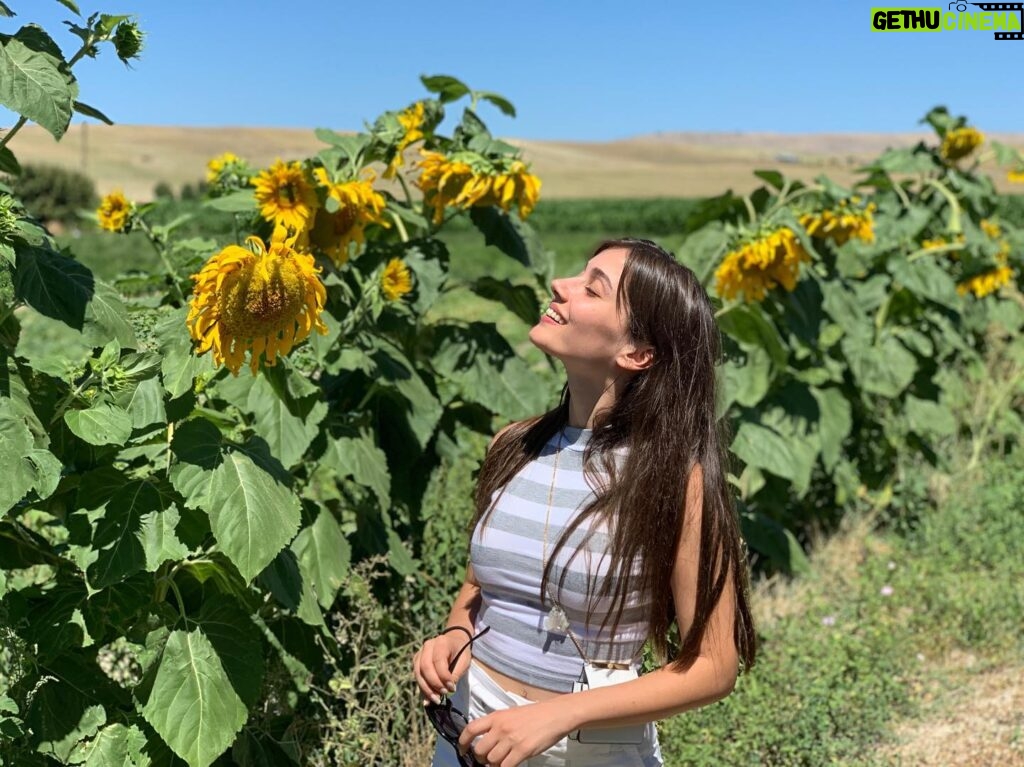 Sevda Erginci Instagram - 🌻