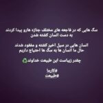 Shaghayegh Farahani Instagram – 🙏🏻🐕🌿