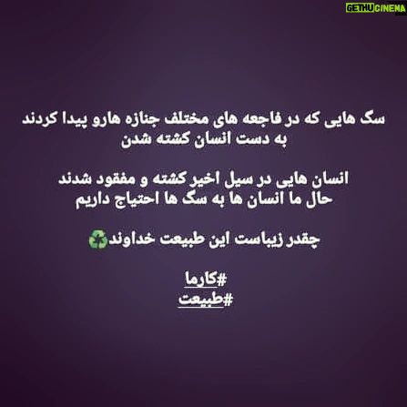 Shaghayegh Farahani Instagram - 🙏🏻🐕🌿