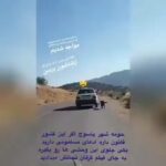 Shaghayegh Farahani Instagram - باورم نمى شه ..... 😳😨😱😤🤯لازم به ذكر است كه كسانيكه اين فيلم رو گرفتن ، ماشين پرايد رو متوقف كردن . حيوان زبون بسته رو آزاد كردن و شماره پلاك ماشين مورد نظر رو به مسولان محيط زيست دادن .