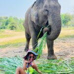 Shanola Hampton Instagram - Thinking of the love I found in Thailand! #photodump #saveelephants