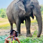 Shanola Hampton Instagram - Thinking of the love I found in Thailand! #photodump #saveelephants