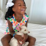 Shanola Hampton Instagram - So I hear it’s #nationaldogday! The perfect day to show off our gift from the HEAVENS!! Lulu! #Pandemicpup #perfectpup #rescue @shelterhope_petshop