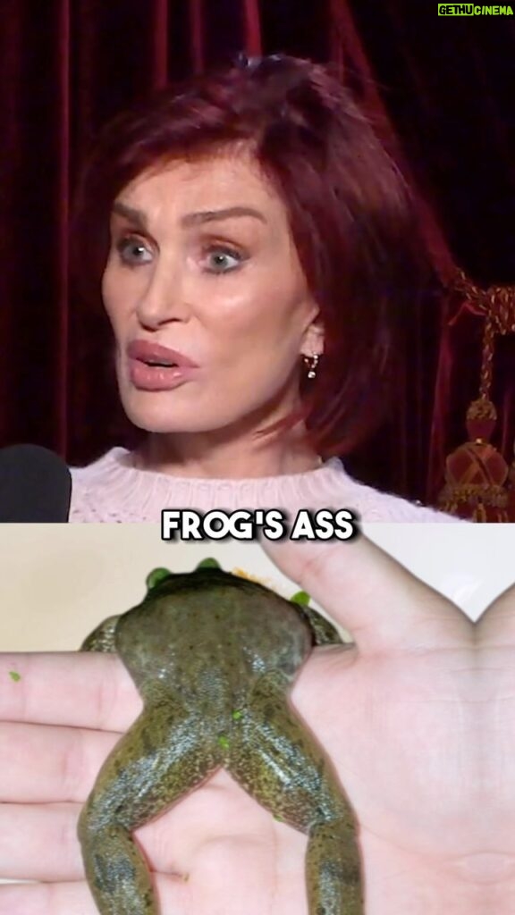 Sharon Osbourne Instagram - Frog green foam and drizzle? 🐸 🍽️ Not on The Osbournes’ plate! But we’re dishing out something even better – a piping hot, ALL NEW episode of The Osbournes Podcast Feast your ears on the latest episode and catch the Osbournes and Billy Morrison on Youtube, Rumble or wherever you get your podcasts. Be sure to follow @theosbournespodcast for all things Osbournes!
