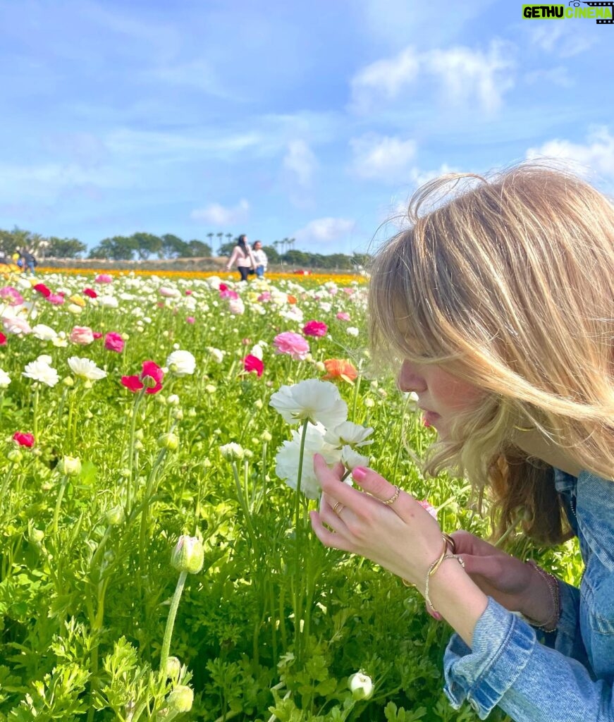 Shay Rudolph Instagram - stop and smell the flowers 💐🎀🧚‍♀️