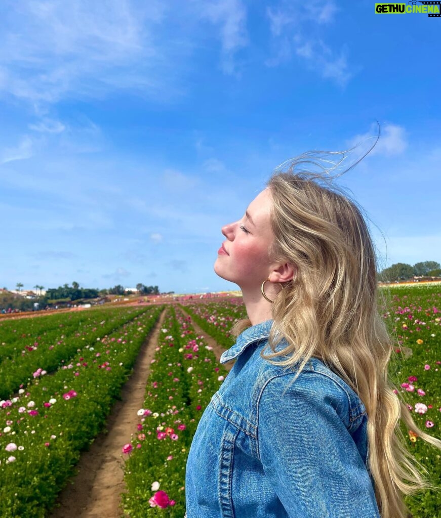 Shay Rudolph Instagram - stop and smell the flowers 💐🎀🧚‍♀️