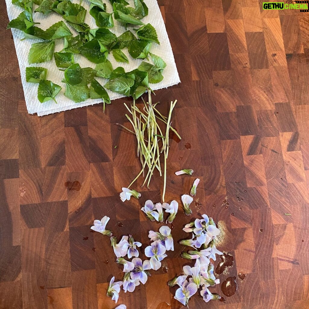Sheri Moon Zombie Instagram - I’m learning to identify, gather and prepare wild edibles. Today I found wild violets, gathered, rinsed, sorted by leaf and stem and flower and made a warm red potato salad with a bit of veganaisse and violets. #quarantinelife #veganpotatosalad #wildviolets