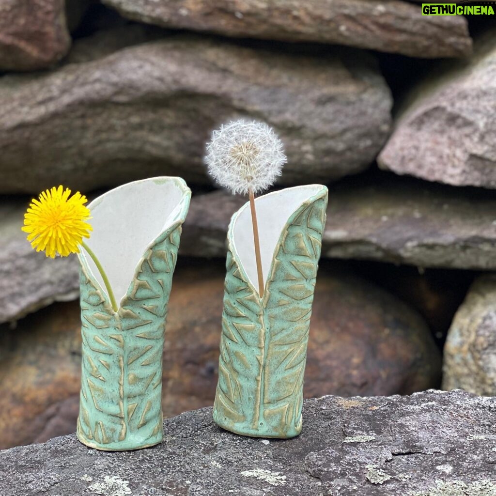 Sheri Moon Zombie Instagram - Set of vases. #pottery #handbuiltpottery #pothead #dandelions