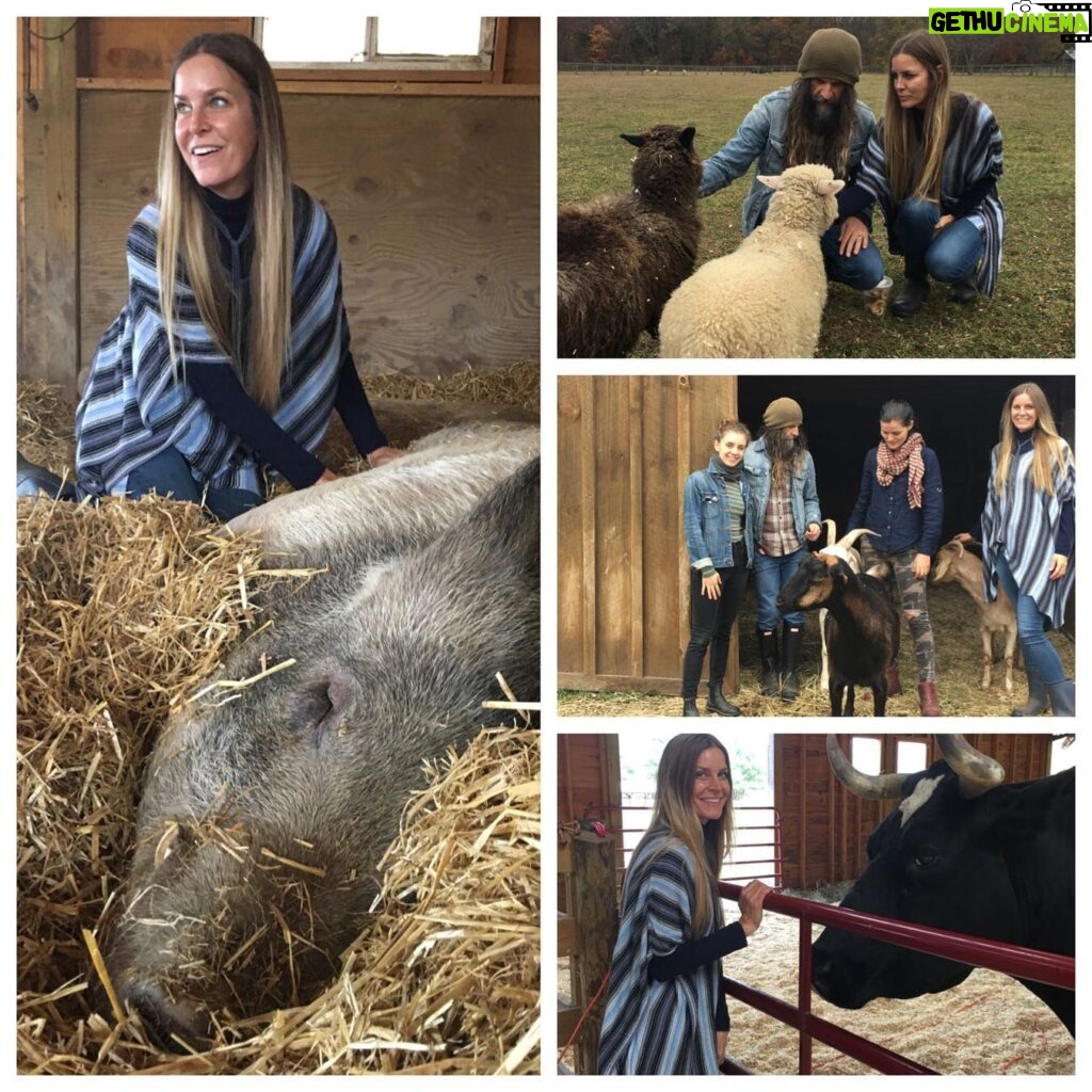 Sheri Moon Zombie Instagram - What a special visit to @woodstocksanctuary to meet all the animals. The ThanksLiving Gala is Woodstock Sanctuary’s most anticipated event of the year that helps raise vital funds needed to support the nearly 400 rescued farmed animal residents that live at the Sanctuary. The event honors the Sanctuary’s rescued turkeys and celebrates innovations in vegan cuisine, which includes passed hors d’oeuvres and a multi-course gourmet vegan meal by chef Lagusta Yearwood, mastermind behind Lagusta’s Luscious and Commissary! In New Paltz, New York. This year’s menu is Japanese-inspired and has ramen and goma dofu on it! There will be an open bar with wine and beer, gift bags filled with exclusive vegan products, a silent auction, raffle, and an exclusive showing of a video highlighting this year’s rescues. It’s a really beautiful day that truly benefits the animals🐾 Me and @robzombieofficial will be there-come join us to celebrate. To get tix and more info click here https://secure.everyaction.com/xQznruZBYkOUpj5TaEXwdg2🐾 #whywoodstock