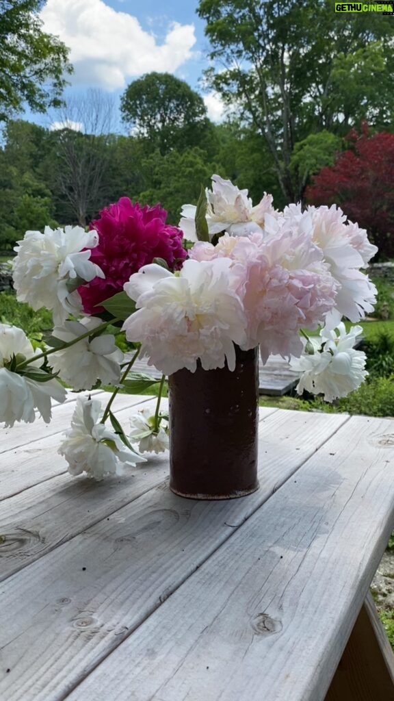 Sheri Moon Zombie Instagram - Growing peonies and making vases…#summer #peonies #pottery #summerbreezemakesmefeelfine
