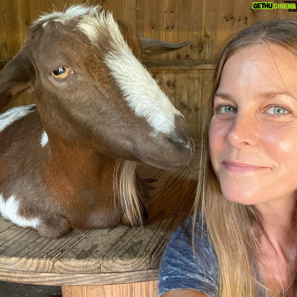 Sheri Moon Zombie Instagram - Hangin’ out with Ralphie our #rescuegoat. He is such a handsome friendly creature #creatureswalkamongus #goats #govegan 🐐 💓✌🏼
