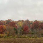 Sheri Moon Zombie Instagram - Checking out the #fallcolors 🍁🧡 #foliagejunkie #autumnalvibes #decayingbeauty