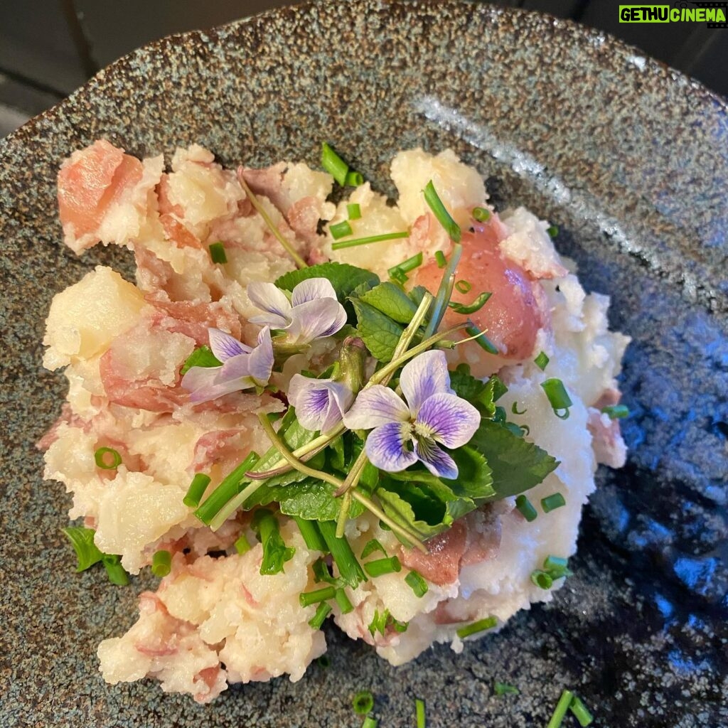 Sheri Moon Zombie Instagram - I’m learning to identify, gather and prepare wild edibles. Today I found wild violets, gathered, rinsed, sorted by leaf and stem and flower and made a warm red potato salad with a bit of veganaisse and violets. #quarantinelife #veganpotatosalad #wildviolets