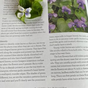 Sheri Moon Zombie Instagram - I’m learning to identify, gather and prepare wild edibles. Today I found wild violets, gathered, rinsed, sorted by leaf and stem and flower and made a warm red potato salad with a bit of veganaisse and violets. #quarantinelife #veganpotatosalad #wildviolets