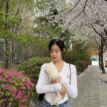 Shin Seul-ki Instagram – 🌸🐶