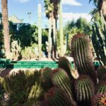 Shirine Boutella Instagram - Marrakech - la jardin majorelle