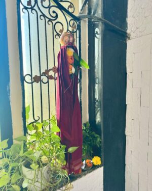 Shraddha Kapoor Instagram - Happy Gudi Padwa Meri Insta Fam✨ 
Gudi Padwa ki aapko aur aapke parivaar ko hardik shubhkaamnaaye 🙏🏼