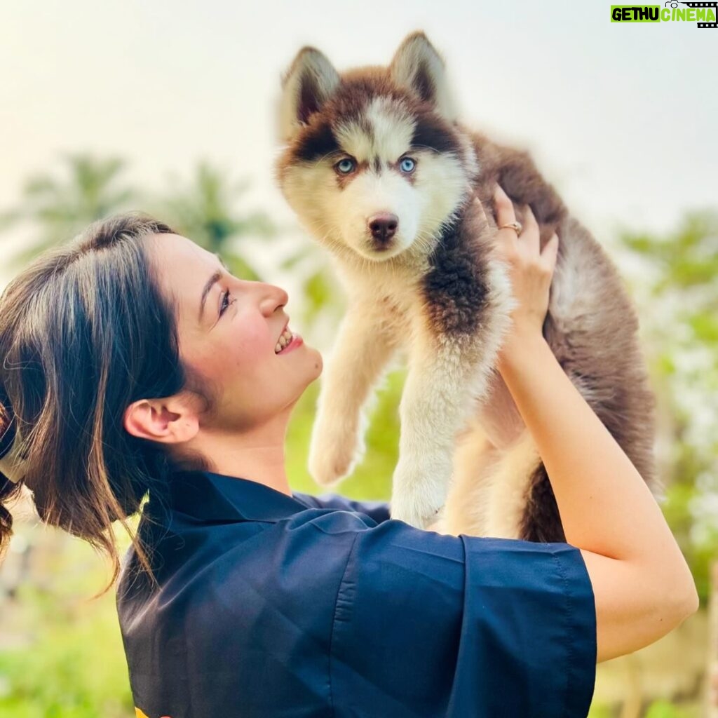 Shreema Bhattacherjee Instagram - Pawsitively purrfect moments.😘 My baby @coconjulie🐾 📸 @officialindranil ❤️ #husky #huskymom #pawpatrol #coco