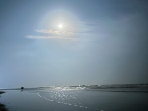 Shreema Bhattacherjee Instagram - প্রথম ছবিতে -বিকেলের মনোরম পরিবেশে ডাঙ্গাতেই নৌকবিহার😉
দ্বিতীয় ছবিতে -আমার পাগলাম কে মেনে নিয়ে ছবিতোলার প্রচেষ্টা😬
তৃতীয় ছবিতে -ঠান্ডা হওয়া ,চাঁদের আলোর সাথে অনেক গল্প আর হাসি❤️
শেষের ৩টে ছবি তোমাদের জন্য!!!
🌝🌅🐚
