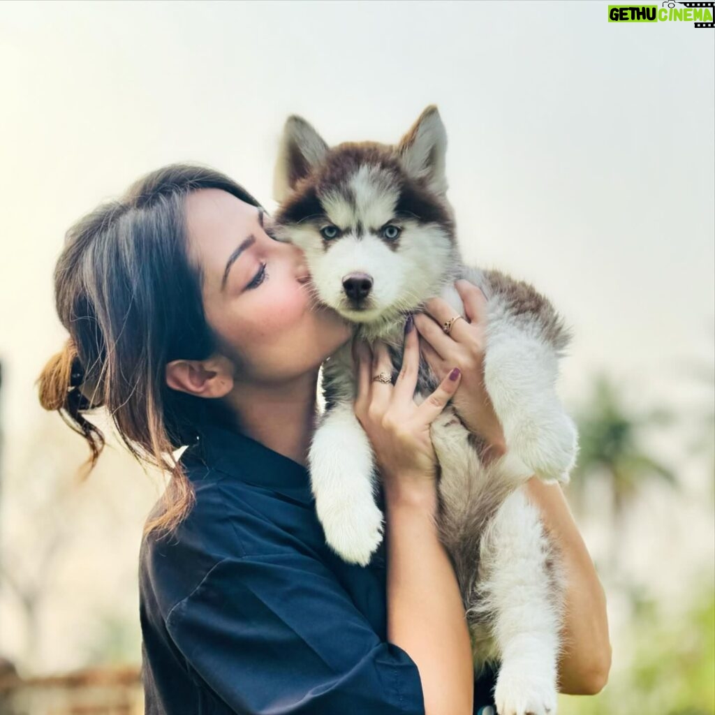 Shreema Bhattacherjee Instagram - Pawsitively purrfect moments.😘 My baby @coconjulie🐾 📸 @officialindranil ❤️ #husky #huskymom #pawpatrol #coco