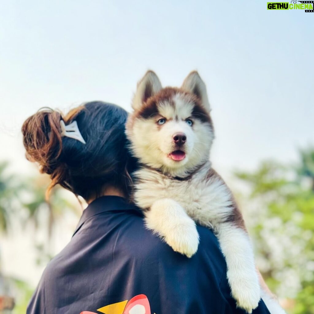 Shreema Bhattacherjee Instagram - Pawsitively purrfect moments.😘 My baby @coconjulie🐾 📸 @officialindranil ❤️ #husky #huskymom #pawpatrol #coco