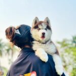 Shreema Bhattacherjee Instagram – Pawsitively purrfect moments.😘
My baby @coconjulie🐾 
📸 @officialindranil ❤️

#husky #huskymom #pawpatrol #coco