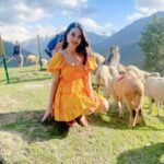 Shristi Shrestha Instagram - 🧡