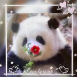 Shu Qi Instagram - ㊗️天下每位偉大的麻麻 母親節快樂🌹