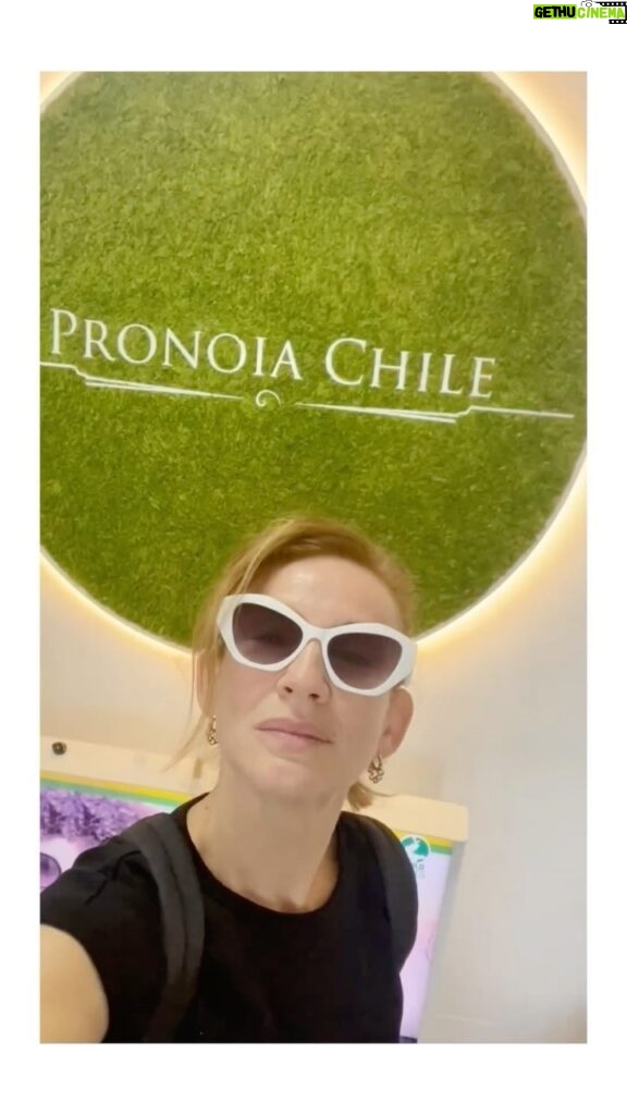 Sigrid Alegría Instagram - @pronoiachile Tratamientos de belleza 💚