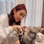 Sirin Preedeeyanon Instagram - FREEDAY VLOG ของชิปที่ไม่ทำงาน เวลาที่อยู่บ้านเนี่ย ทำอะไรบ้างไปดูกันค่ะ >< #BelieveYourShape #TrustInCHAME #CHAMETHAILAND #ชาเม่ซายเอส #ชาเม่วันเดย์ไฟเบอร์ #ชาเม่ซายคอฟฟี่แพค #ชิปปี้ศิรินทร์