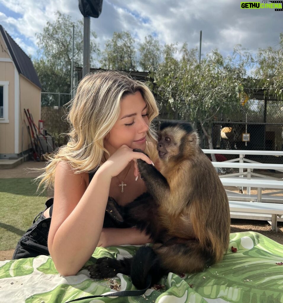 Sissy Sheridan Instagram - i have such a strong love and passion for animals and their well being - volunteering at the non-profit animal sanctuary @animaltracksinc was such an incredible experience i wanted to share. ft. my new bff boo 🐵