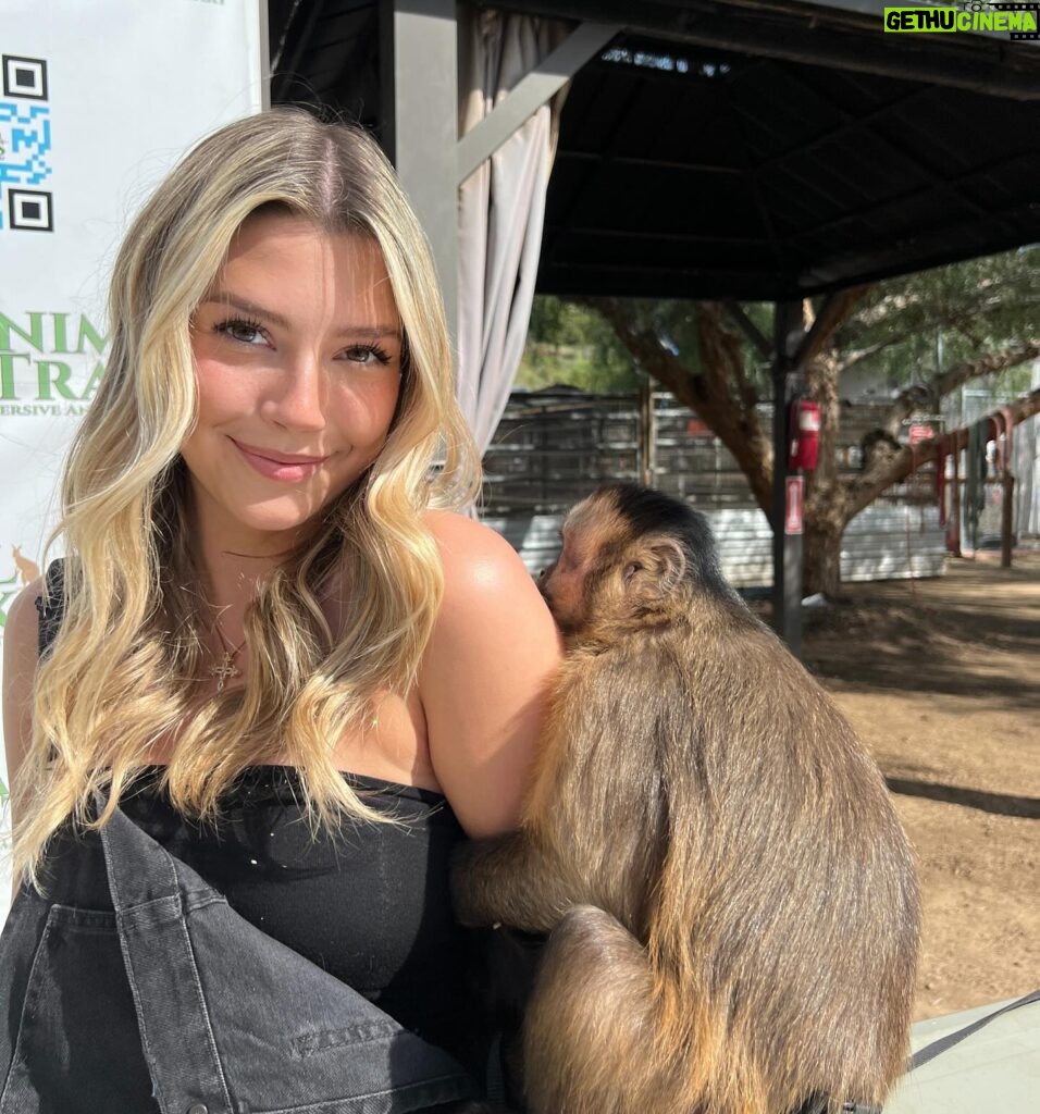 Sissy Sheridan Instagram - i have such a strong love and passion for animals and their well being - volunteering at the non-profit animal sanctuary @animaltracksinc was such an incredible experience i wanted to share. ft. my new bff boo 🐵
