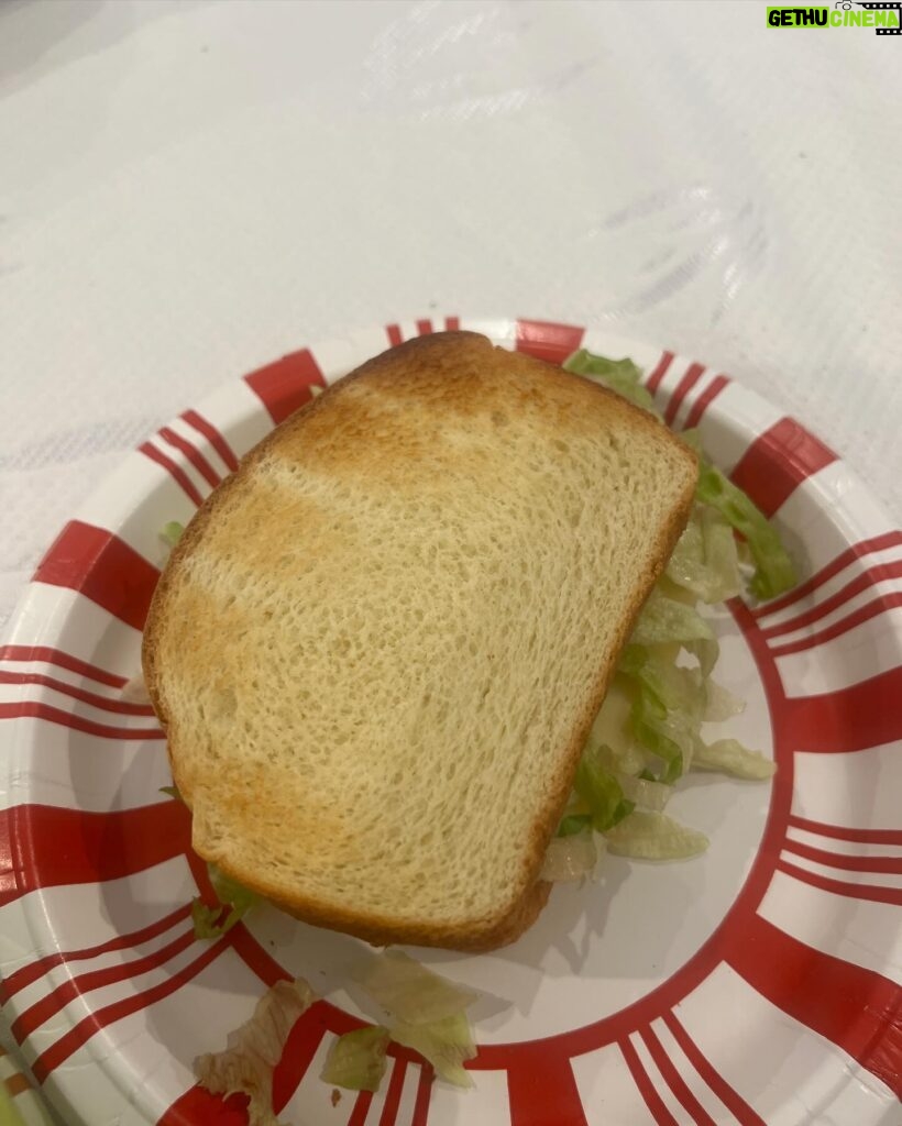 Sissy Sheridan Instagram - sissy’s sandwich recipe: 🥪 2 Slices of toasted white bread Mayo and Honey mustard 2 Turkey slices 1 Provolone cheese slice Lettuce Banana Peppers Lays Potato Chips