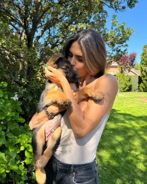 Sofía Suescun Instagram - Seguramente al ver la primera foto lo primero que se te viene a la cabeza es: ‘’qué monos!!!, ayy por favor!!! quiero ese perrito…. Blablabla’’ eso le pasó al perro que veis en la foto 6 y ayer acabó abandonado porque ya ‘no era tan mono’ como de bebé y ya molestaba en casa.
Igual pasa con uno de los hermanos pastores alemanes que veis, ha nacido hermafrodita y no se puede vender como el propietario contaba por tanto lo termina abandonando. 
Esta es la representación de millones de historias en las que cada día cientos de perros son abandonados en nuestro país… 
Ellos han llegado al mundo para darte un amor incondicional y eterno donde no entra en sus planes abandonarte. 
Vamos a aprender un poco de estos seres de luz por favor. Antes de adoptar, piensa y cuando lo hagas, descubrirás en tu corazón un rincón especial que te hará mejor persona.
En el amor, por supuesto que también queda lugar para segundas oportunidades. Dársela a Greco por favor, ayer fue abandonado pero no sabe que en realidad es lo mejor que le ha pasado porque estoy segura de que no merecía a esa familia.
*En la foto 7 y vídeo 8 podéis ver la muñequita con la que le abandonaron para que no se sintiera tan ‘solo’. No queremos nada vuestro gracias 👍 VIDA NUEVA PARA GRECO✨
Ah! Y por supuesto muchísimas gracias a Silvia @happydog_rescates y su labor como rescatista, por personas como tú miles de perros pasan a mejor vida.
Si queréis adoptar, ella os explciará el protocolo.
Mil gracias y feliz Domingo❤️✨🐶🐾