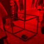 Sofia Viscardi Instagram - quelle nell’ultima foto sono le mie scarpe sotto cassa