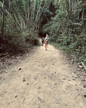 Sofie Linde Instagram - In the jungle 🫶🏼
